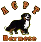 G6 Participações